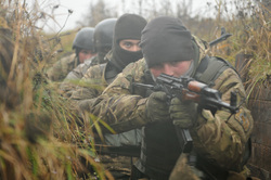 Вооруженные силы Украины. stock, всу, stock