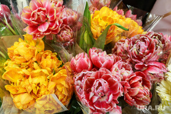 Тюльпаны в Ленте. Тюмень, тюльпаны, гипермаркет, цветы, букеты цветов, 8 марта, букет цветов