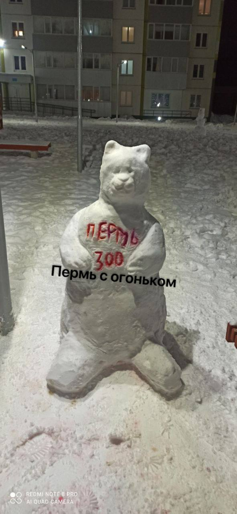 Снежный зверь в селе Фролы