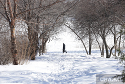 Парк УрГУПС. Екатеринбург, зима, парк ургупс
