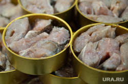 Производство рыбных консерв. Салехард, продукты, питание, консервная банка