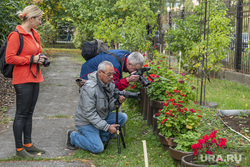 Ботанический сад ПГНИУ. Пермь, ботанический сад, цветы, редкие растения, фотографы на пленере