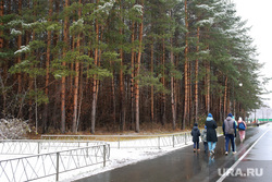 First snow.  Tyumen, walk, park, eco-park