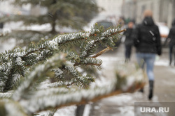 Снегопад. Екатеринбург, зима, ель, первый снег