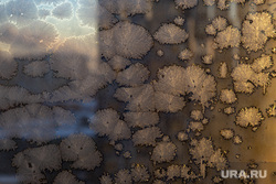 Мороз в городе. Пермь, зима, иней, комсомольский проспект, компроспект, мороз на стекле, морозное окно