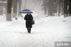 Разное. Москва, снег, пенсионер, зима, погода, зонт, женщина, снегопад