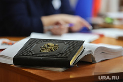 Судебное заседание по уголовному делу бывшего замдиректора РНЦ ВТО «Илизарова» Фролова Ивана. Курган, депутат, чиновница, совещание, чиновник, госдума, заседание, герб  россии, мэр