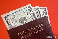 Доллары США. Курган, паспорт, валюта, паспорт рф, купюры, деньги, доллары