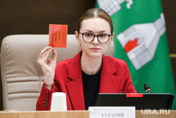 Заседание ЕГД и коридоры мэрии. Екатеринбург, гурарий анна
