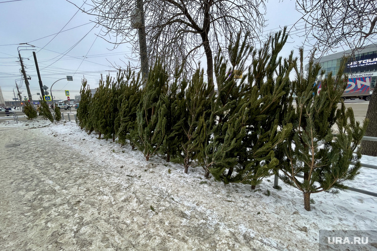 Елочный базар. Челябинск