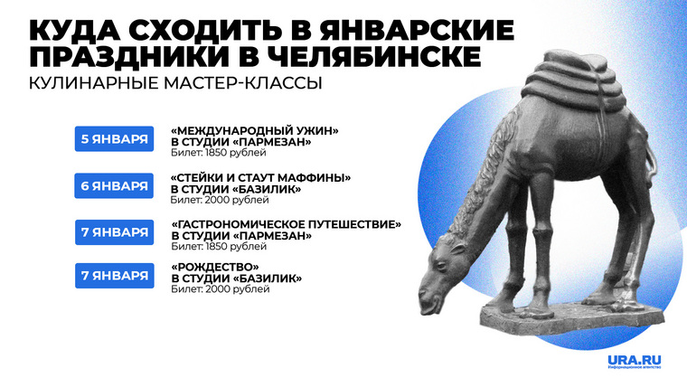 В новогодние каникулы в Челябинске организуют кулинарные тематические мастер-классы