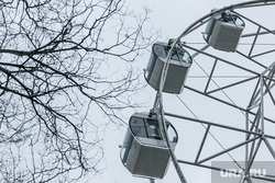 Виды города, ноябрь. Тюмень, парк аттракционов, ветки деревьев