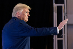 Дональд Трамп. stock, Дональд Трамп, stock