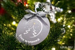 Совещание по подготовке совместного заседанию Государственного Совета РФ и Совета при президенте РФ по стратегическому развитию и национальным проектам., елка желаний