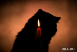 Клипарт по теме свеча, траур Москва, кошка, свеча, кот, траур, мистика, свечка, поминки, гадание, кот бегемот