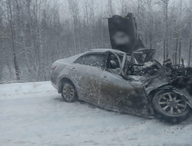 В Курганской области автомобиль Toyota Camry столкнулся с лесовозом, погибли два человека