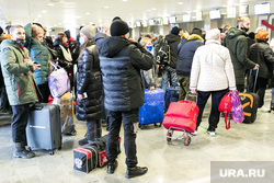 Аэропорт Рощино. Тюмень, аэропорт, очередь , багаж, рощино, люди с сумками