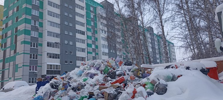 Челябинск завален мусором с прошлого года