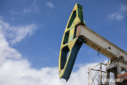 Качалки. Сургут, газ, газпром, топливо, роснефть, качалка, экономика, нефть, месторождение, нефтедобыча, добыча нефти, природные ресурсы, лукоил, сургутнефтегаз, куст нефтегазовый, цены на нефть