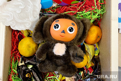 Повседневная жизнь. Пермь, новогодние подарки, игрушка чебурашка