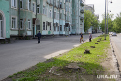 Вырубка деревьев на тихом Компросе. Пермь, тихий компрос, пеньки, вырубка деревьев