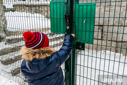 Мальчик после прогулки по морозу в носках по улицам Екатеринбурга начал хромать
