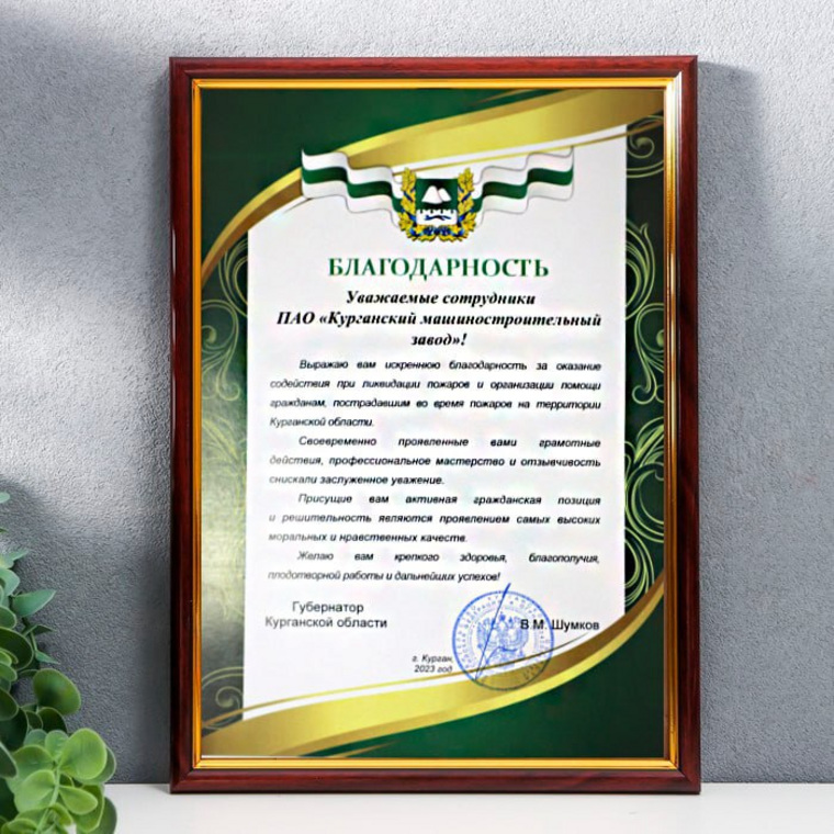 Курганские заводчане получили награду от главы региона Вадима Шумкова