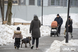 Городские картинки. Пермь зима, пешеходы, горожане, городской парк