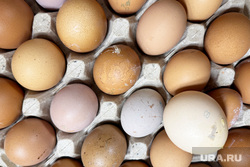В Кургане впервые за полгода остановился рост цен на яйца