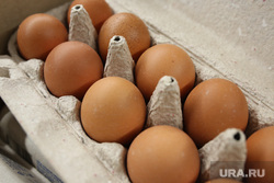 В Тюмени подешевели яйца