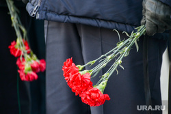 Клипарт. Возложение цветов, Мемориал на аллее Славы. Челябинск, гвоздики, цветы, мемориал