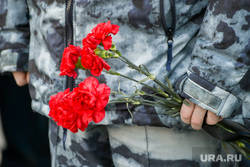 Клипарт. Возложение цветов, Мемориал на аллее Славы. Челябинск, гвоздики, цветы, мемориал