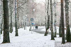 Гилевская роща. Тюмень, снег, прогулка, деревья, парк, дорога, дорога в лесу, роща, прогулка в парке, гилевская роща