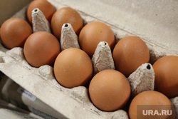 В Курганской области ускорилось снижение цен на яйца