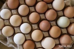 В Тюмени цена на яйца опустилась до 75 рублей. Скрин