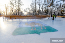 Новый каток в парке Терешковой. Челябинск, каток, парк терешковой, герб челябинска, заливка льда
