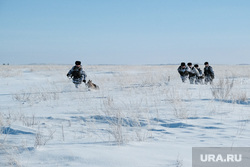 Контрольно-пропускной пункт «Звериноголовское». Звериноголовский район. , зима, служебная собака, граница россии, наряд реагирования, пограничиники, пограннаряд