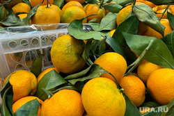 Продуктовый магазин. Курган, мандарины