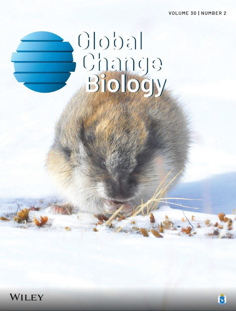 Ямальский лемминг на обложке «Global change biology»