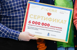 файл