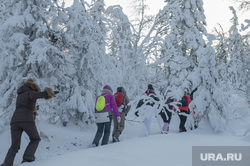 Зимний туризм. Красновишерск, зима, зимний лес, туристы, природа, активный отдых, туризм пермский край, пеший поход