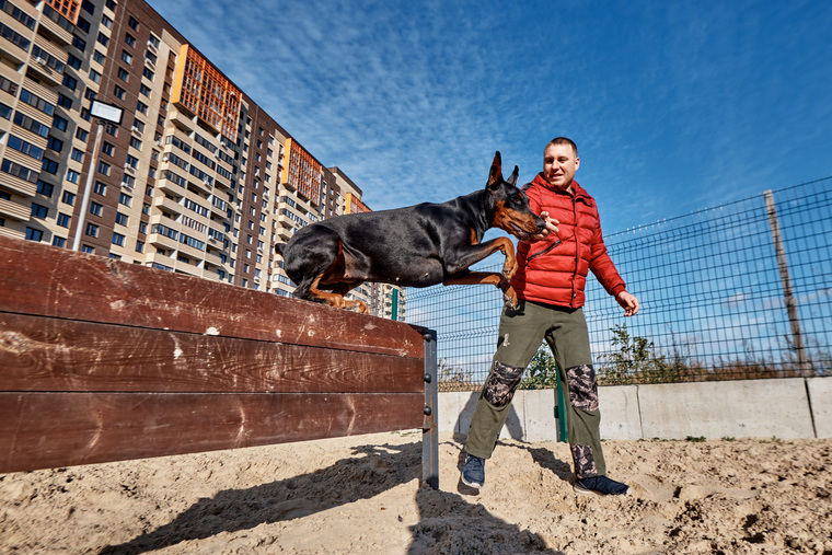 В ЖК предусмотрено три площадки для выгула питомцев и игровые снаряды