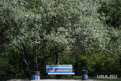 Виды Екатеринбурга, скамейка, парк
