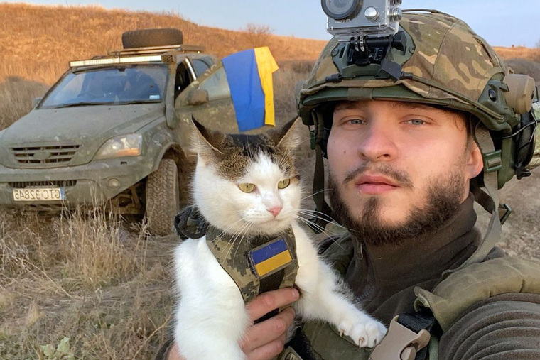файл