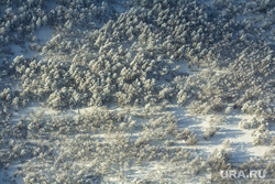 Село Узян – озеро Якты-Куль. Башкортостан, снег, зима, иней, лес, вид сверху