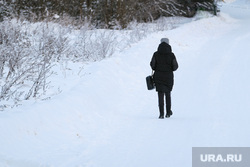 Деревенские пейзажи. Зима, женщина, дорога, улица, морозный день