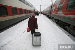 Поезда дальнего следования на железнодорожном вокзале во время снегопада. Рязань, снег, пенсионерка, вокзал, поезд, зима, багаж, путешествие, пассажир, ржд, турист, жд, чемодан, пассажиры, багаж, туризм, железная дорога