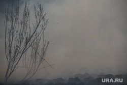 Лесные пожары, клипарт. Екатеринбург, задымление, дым от пожара