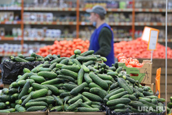 Магазин Метрополис. Курган , овощи, торговля, продукты, помидоры, огурцы, опт, розница, оптовая