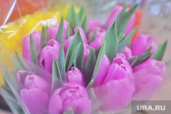 Город. Курган, цветы, тюльпаны, весна, 8 марта, букет тюльпанов